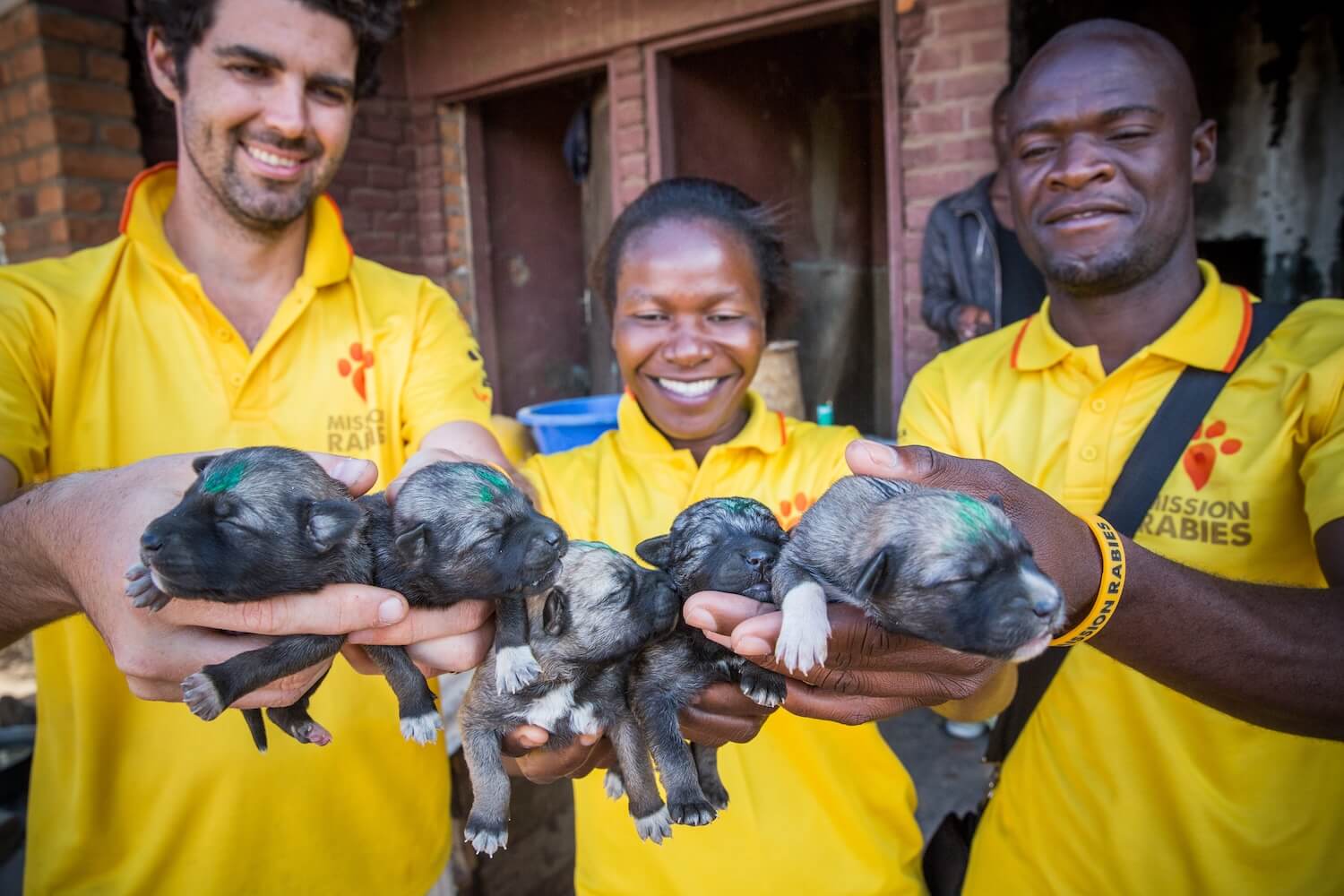 Edgard & Cooper Foundation Dogs Trust