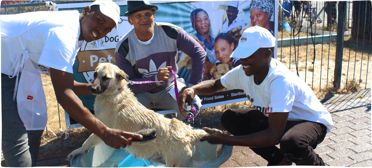 AfriPaw Animal Welfare - Responsible pet care