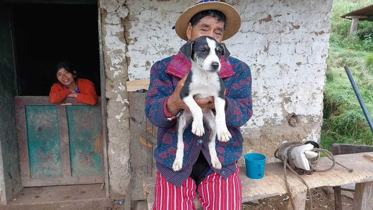 Edgard & Cooper Foundation The Global Alliance For Animals and People