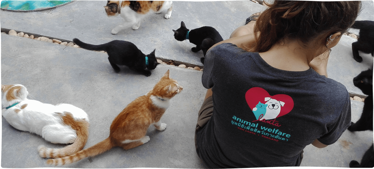 Lanta Animal Welfare is dedicated to improving the lives of all animals