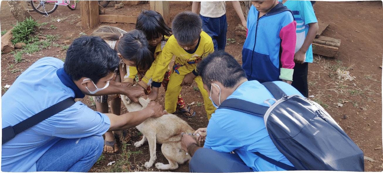 Phnom Penh Animal Welfare Society is on a mission to end animal suffering