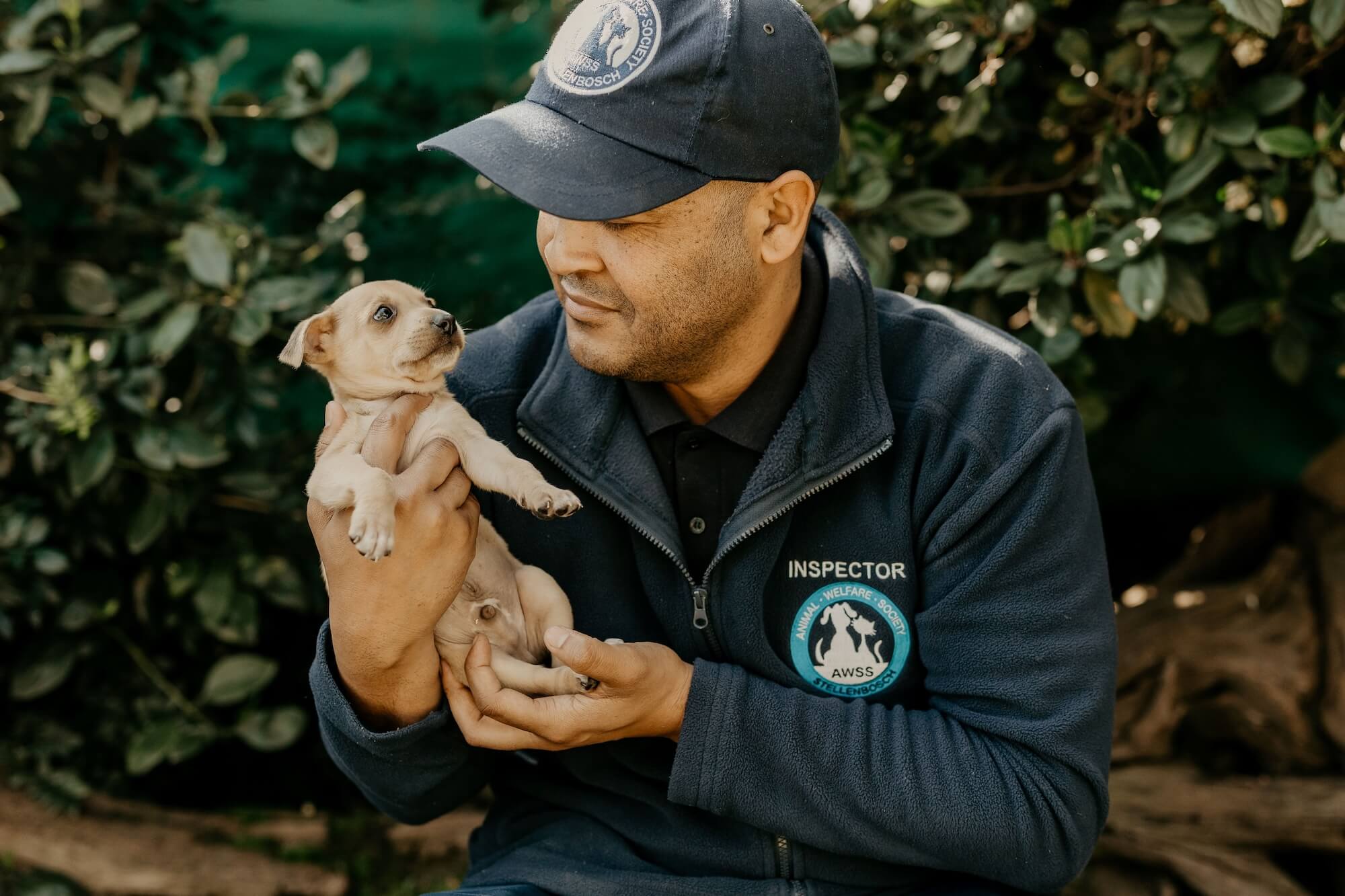 Edgard & Cooper Foundation Stellenbosch Animal Welfare